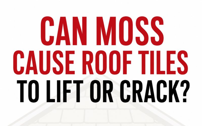 Can moss damage roof tiles?